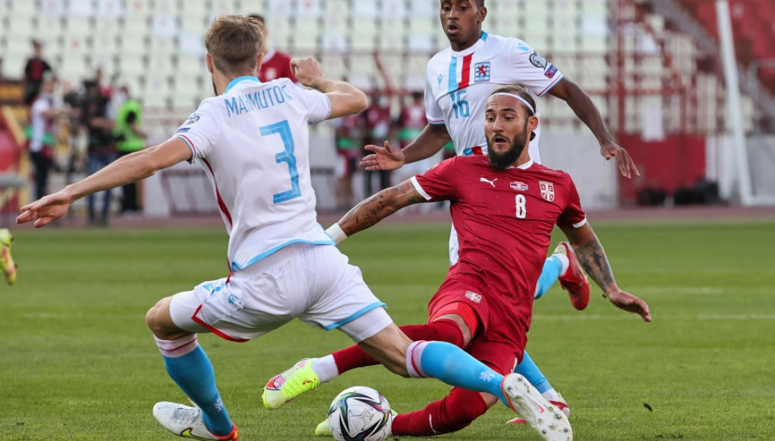 Nemanja Gudelj, Sevilla FC y selección Serbia